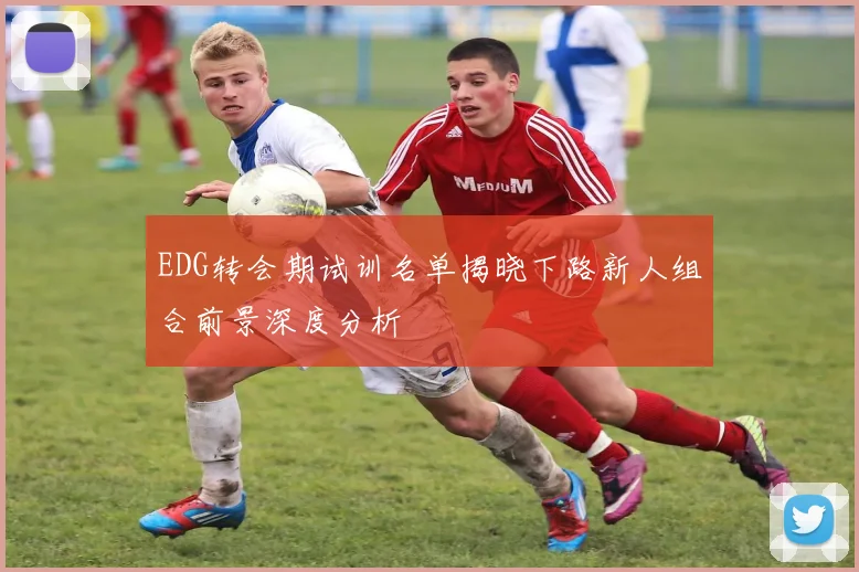 EDG转会期试训名单揭晓下路新人组合前景深度分析